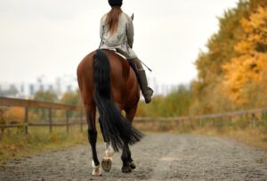 馬の「ボロ」っていったい何？意味や語源、豆知識をご紹介