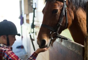 馬は人間に懐く？早く馬に懐いてもらうポイントとは